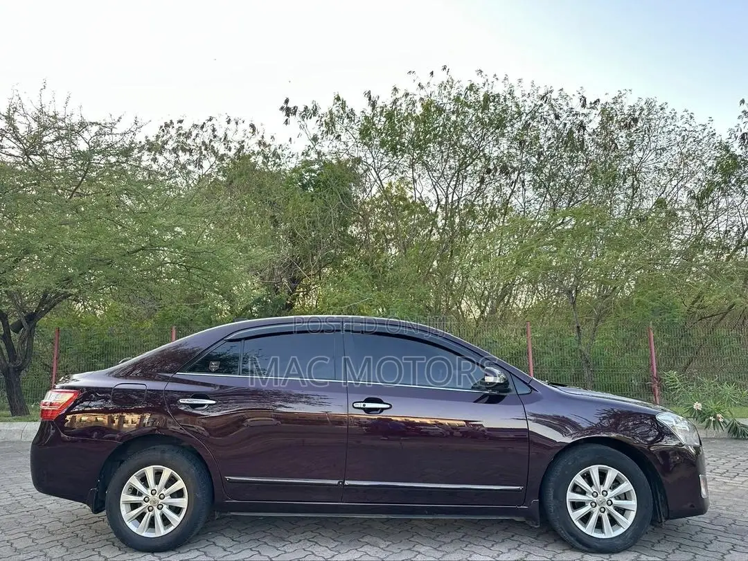 Toyota Premio 2010 Maroon