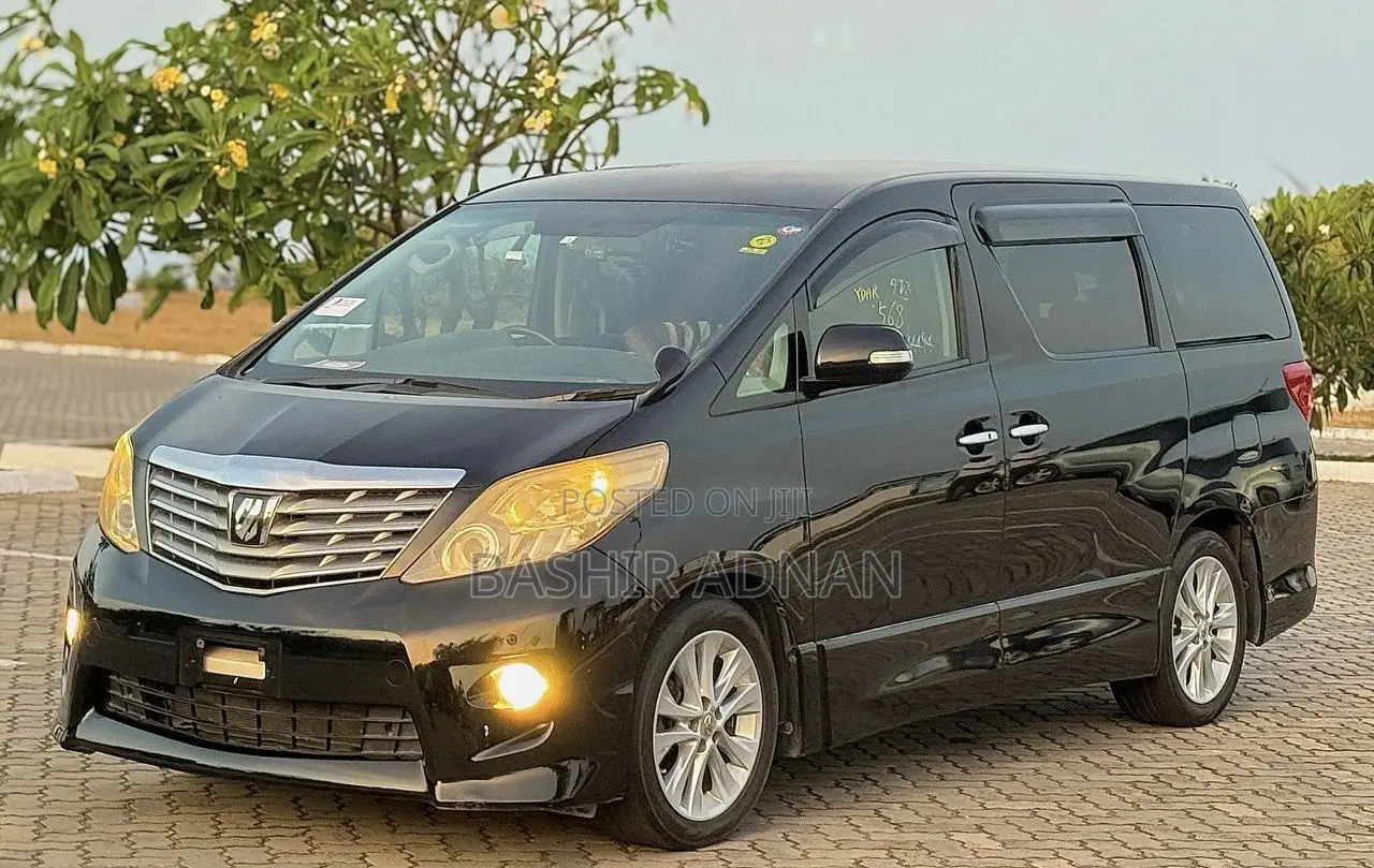 Toyota Alphard 2010 Matt Black
