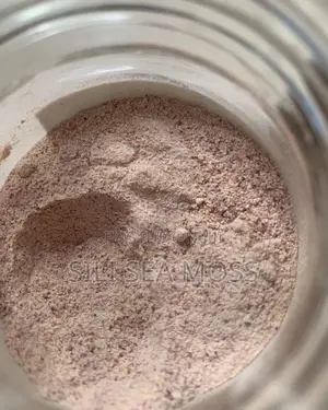 Sea Moss Agent