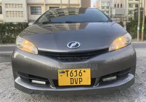 Toyota Wish 2009 Brown