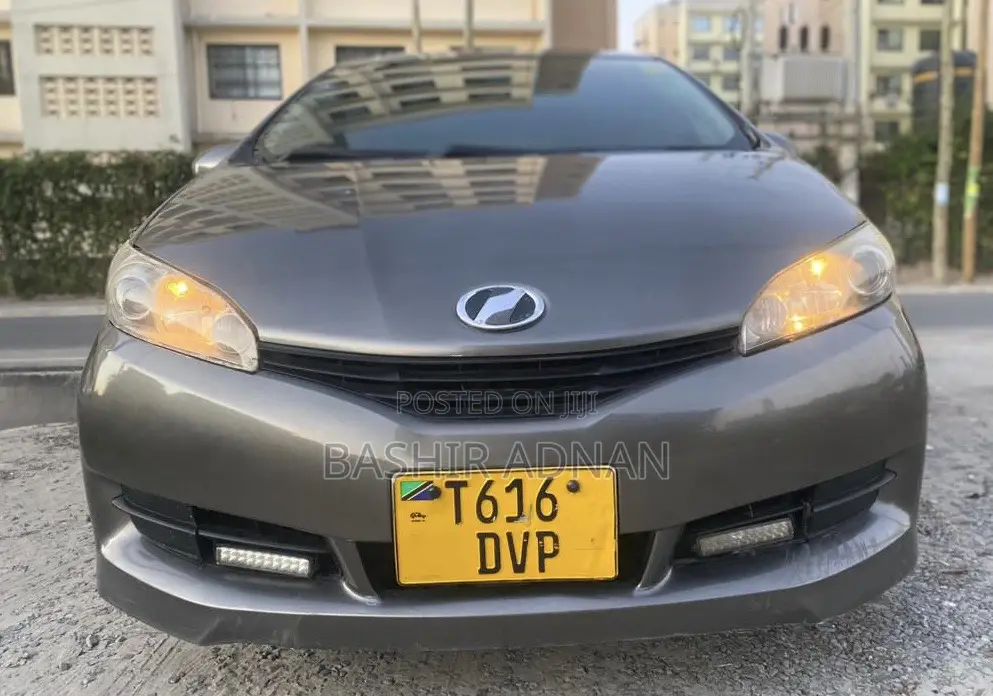 Toyota Wish 2009 Brown