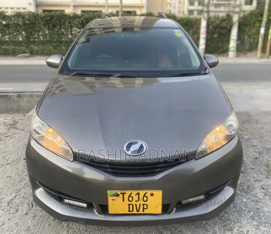 Toyota Wish 2009 Brown