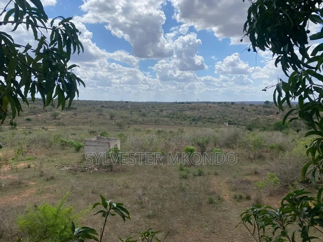 Eneo Linauzwa(Shamba)