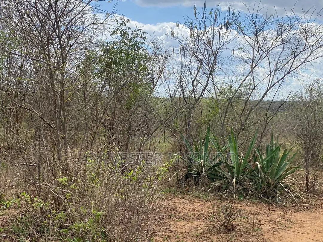 Eneo Linauzwa(Shamba)