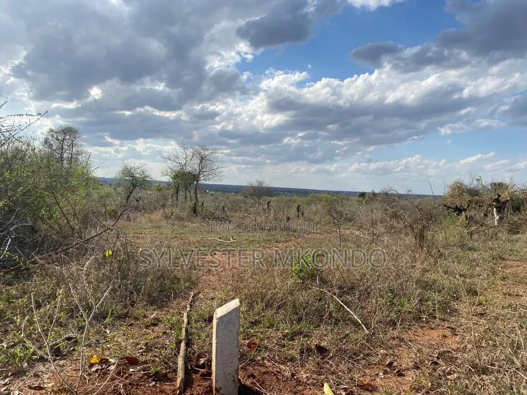 Eneo Linauzwa(Shamba)