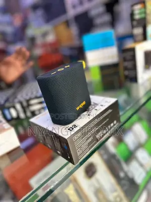 W-King Speaker