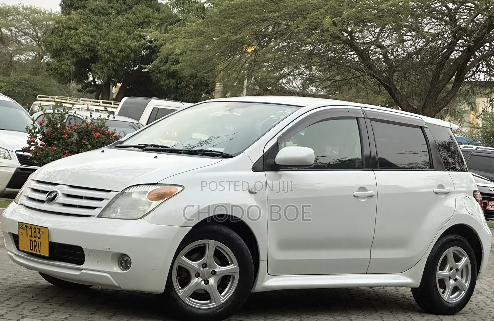 Toyota IST 2006 Pearl