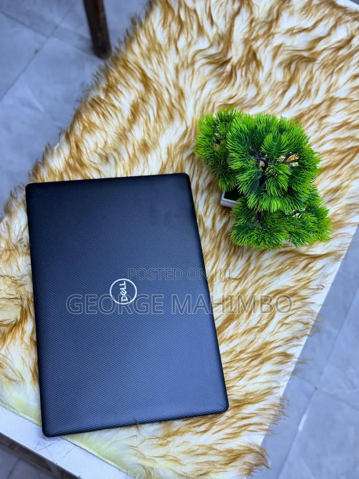 Laptop Dell 8GB Intel Core 2 Duo SSD 256GB