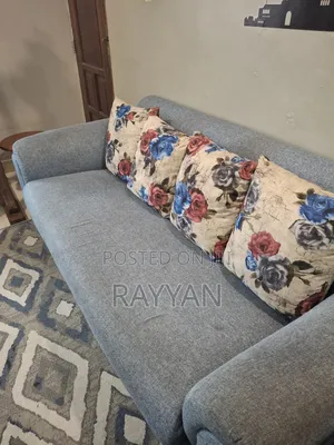 Living Room Couch