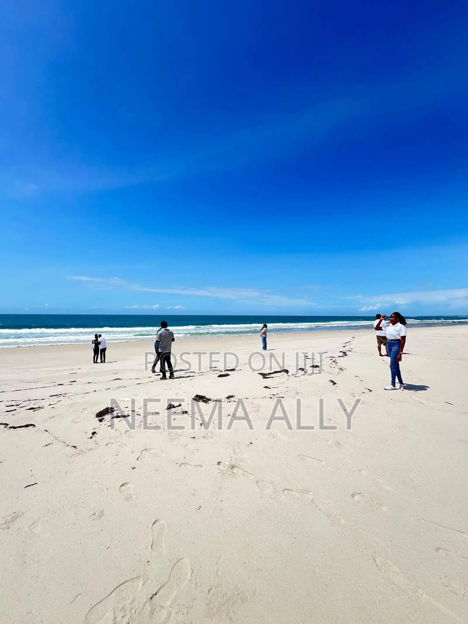 Beach Plots for Sale