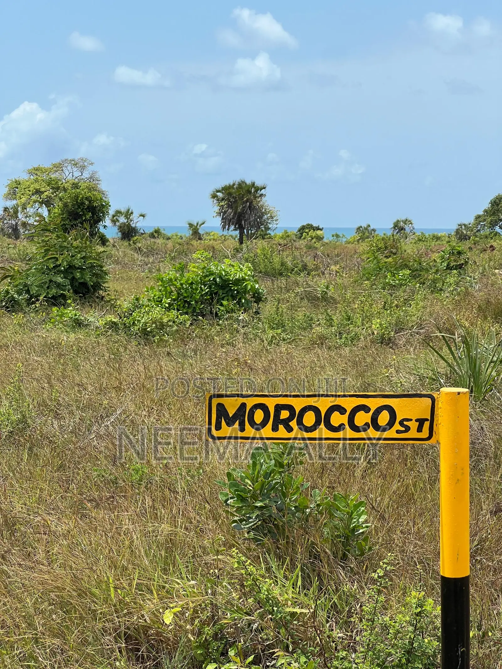 Beach Plots for Sale