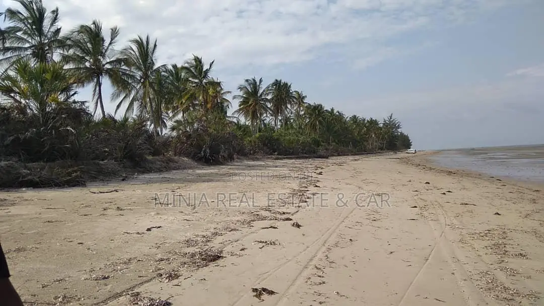 40 Acres of Beach Plot for Sale Mkwaja Pangani Tanga.