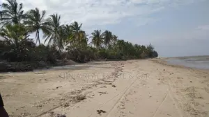 40 Acres of Beach Plot for Sale Mkwaja Pangani Tanga.