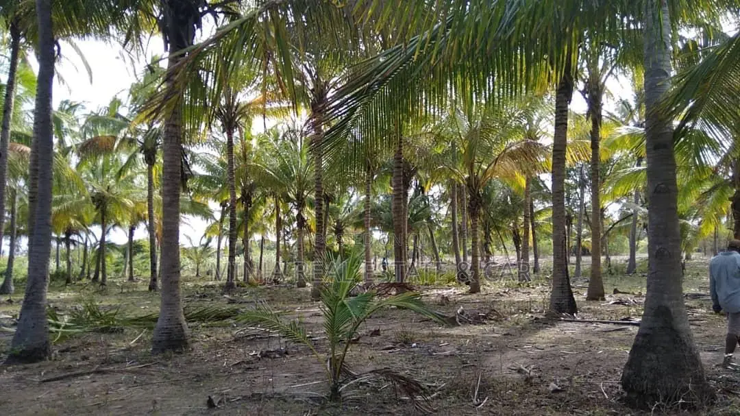 40 Acres of Beach Plot for Sale Mkwaja Pangani Tanga.