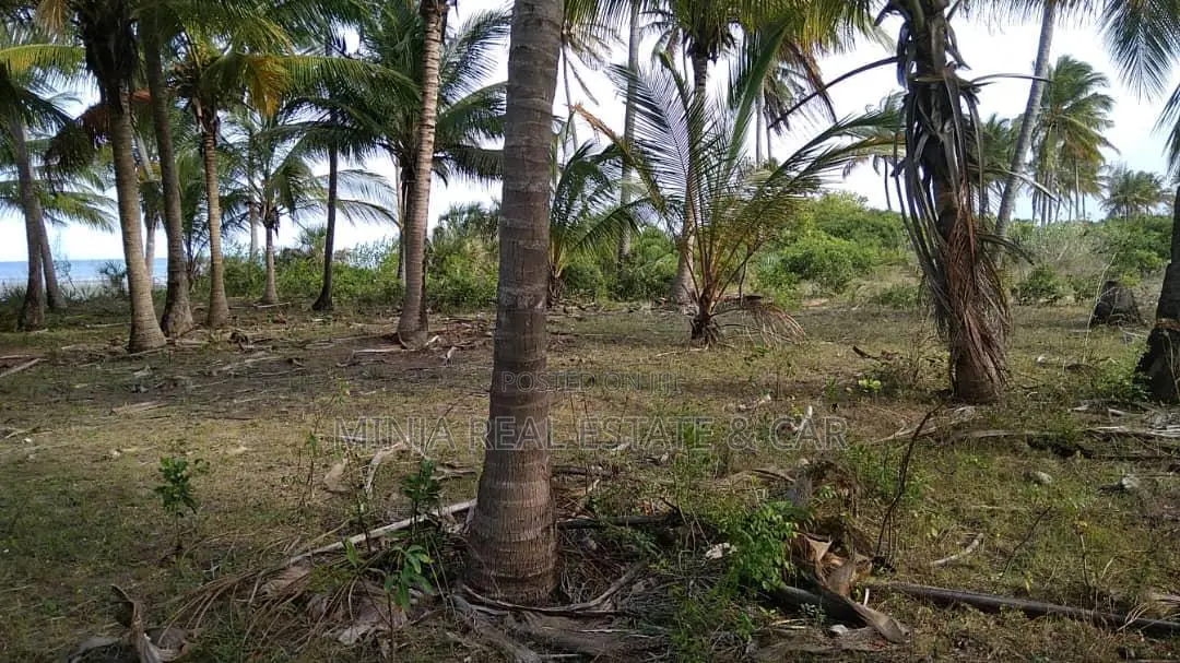 40 Acres of Beach Plot for Sale Mkwaja Pangani Tanga.
