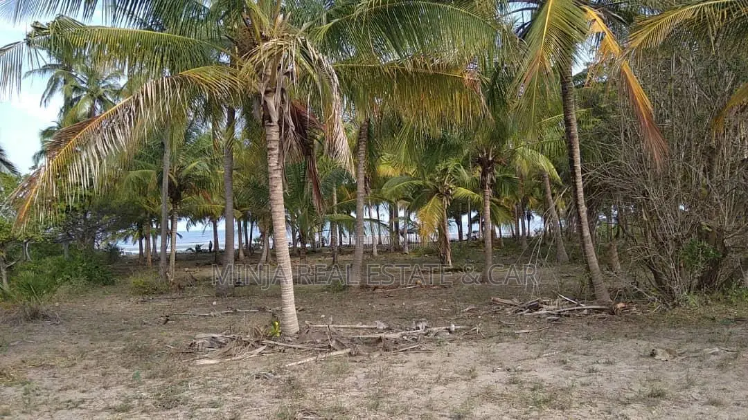 40 Acres of Beach Plot for Sale Mkwaja Pangani Tanga.