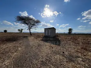 Farm for Sale With Fertile Black Soil in Manyara