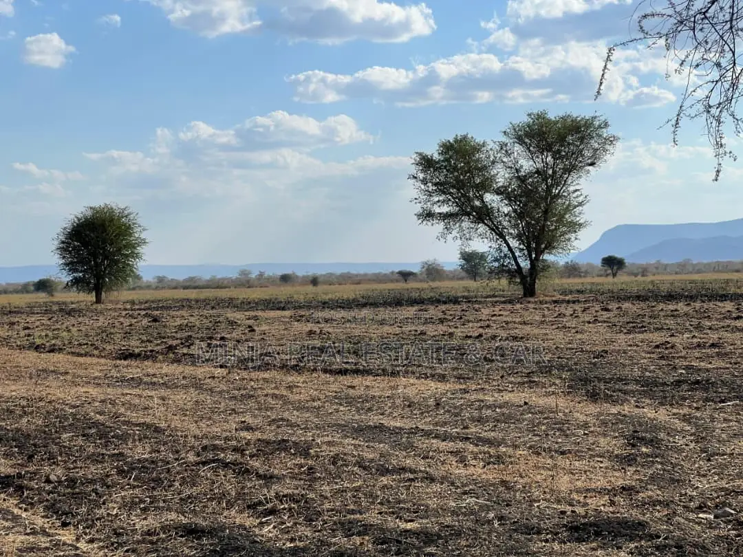 Farm for Sale With Fertile Black Soil in Manyara