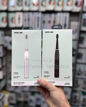 Electric Toothbrush Set, Comes With 8 Brush Heads, 4 Modes