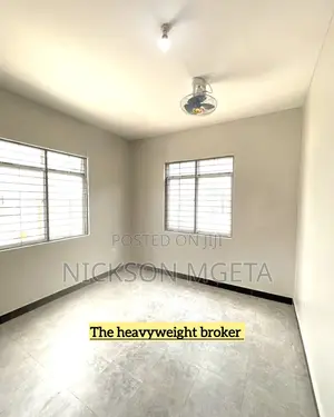 2bdrm Apartment in Dalali Nick Mwanza, Kiseke for rent