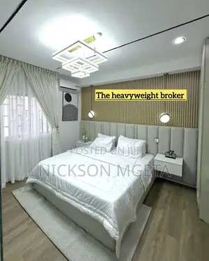 Furnished 2bdrm Apartment in Dalali Nick Mwanza, Pasiansi for rent