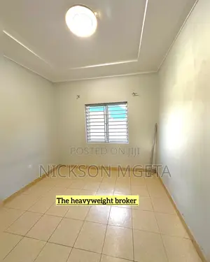 1bdrm Apartment in Dalali Nick Mwanza, Nyasaka for rent