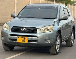 Toyota RAV4 2006 Gray