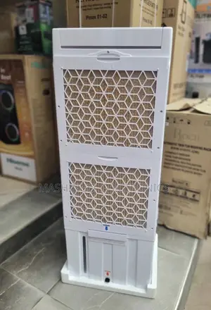 Roch 45 Liters Air Cooler