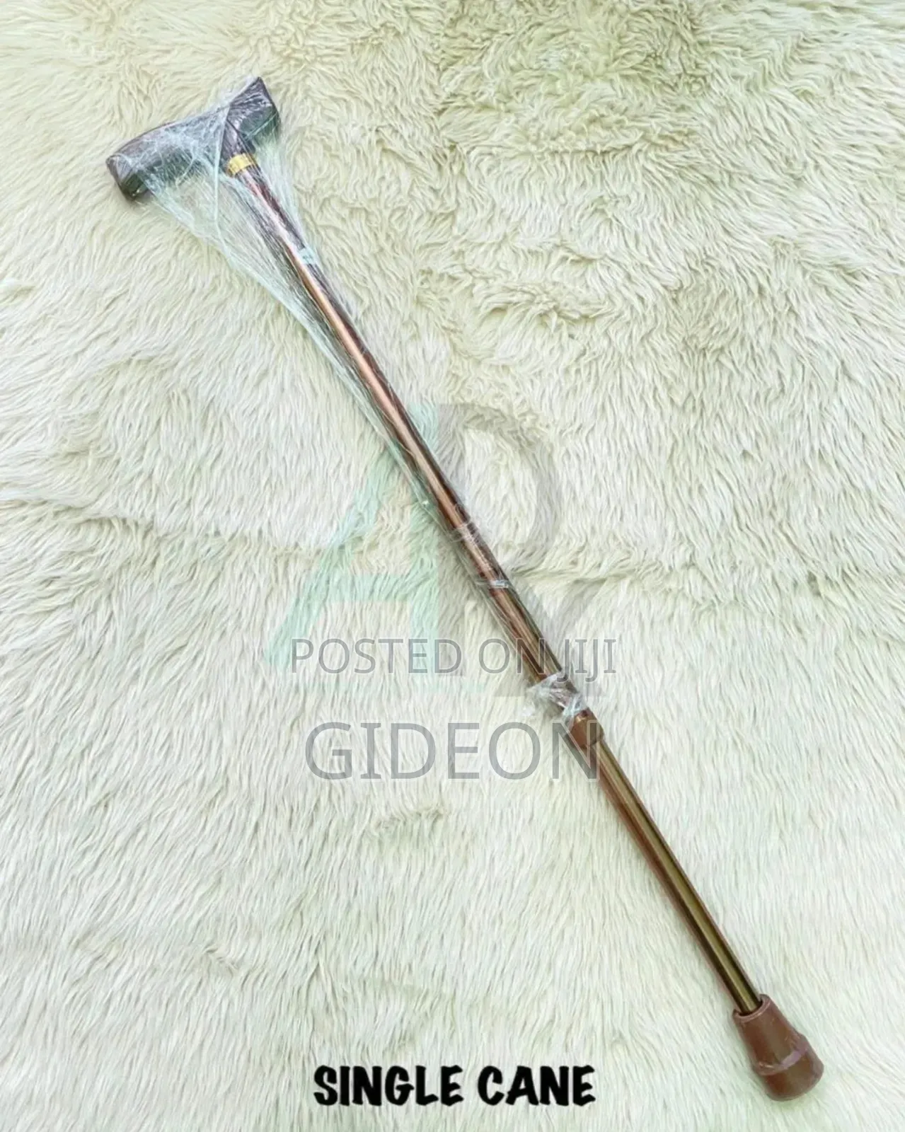 Walking Stick