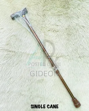 Walking Stick