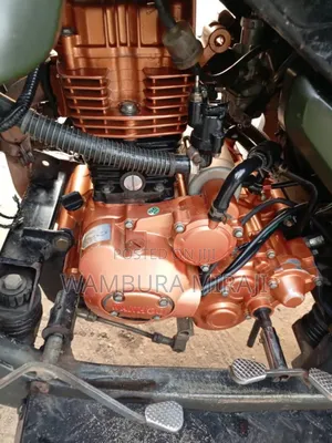 Bajaj Dominar 250 2024 Green