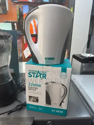 Winningstar Electri Kettle