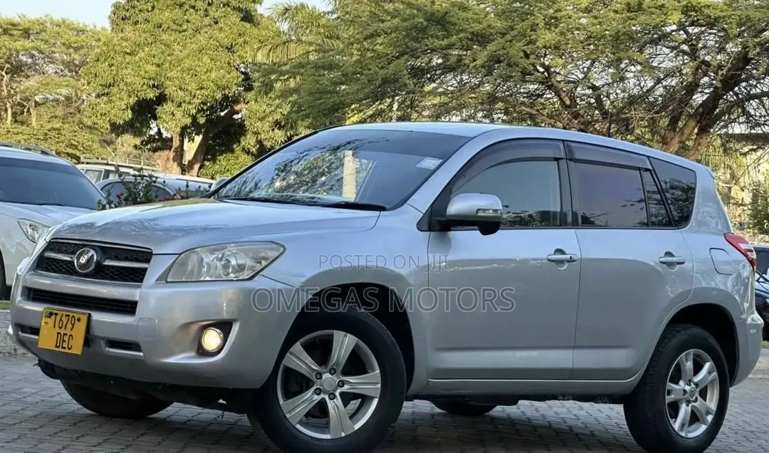 Toyota RAV4 2010 Silver