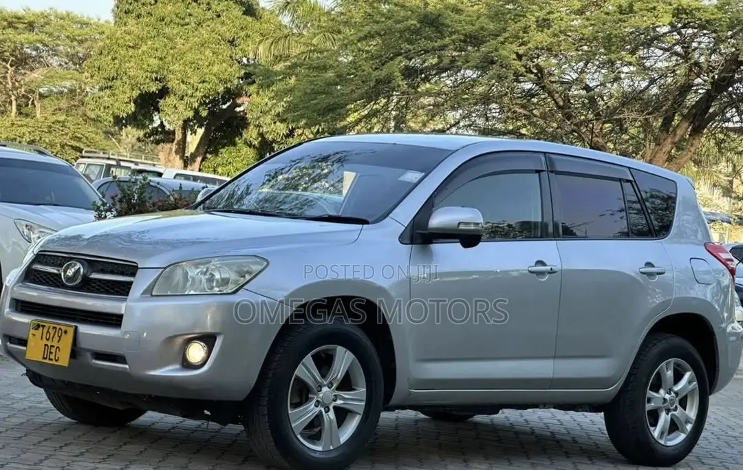 Toyota RAV4 2010 Silver