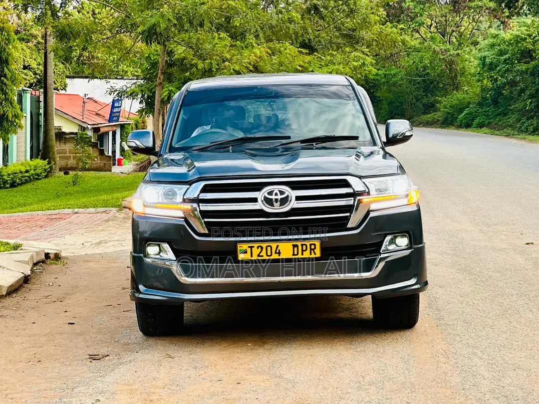 Toyota Land Cruiser 2005 Gray