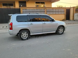 Toyota Probox 2009 Silver