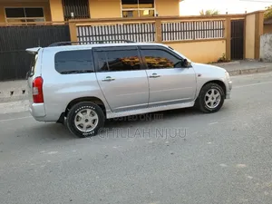 Toyota Probox 2009 Silver