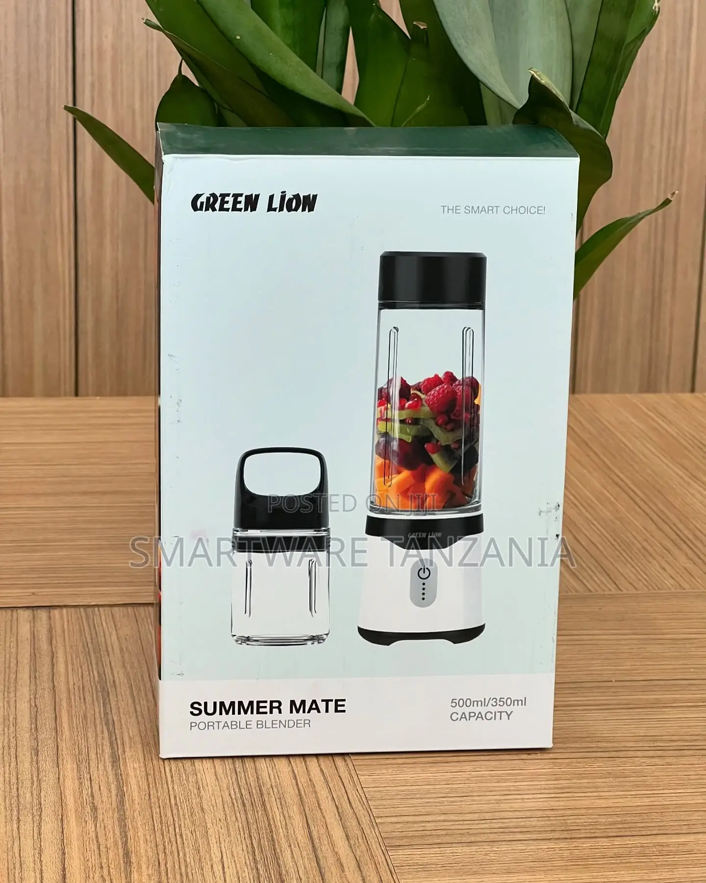 Green Lion Summer Mate Portable Blender 500ml Rechargeable Smoothie