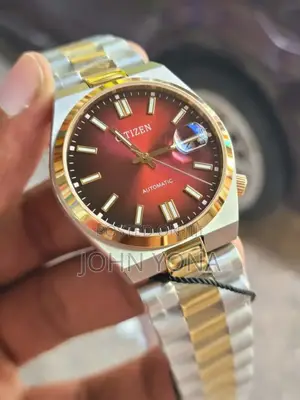 Citizen Tsuyosa Automatic Nj0153-82x Watch Red Dial and a Two-Tone