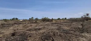 Kiwanja Kinauzwa Mbweni JKT