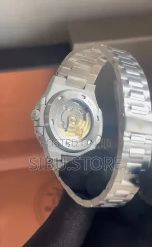 Patek Watch, Silver