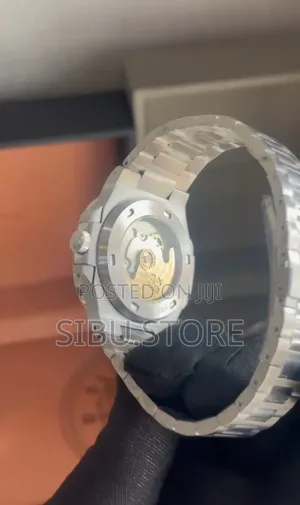 Patek Watch, Silver