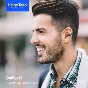 Haino Teko Buds