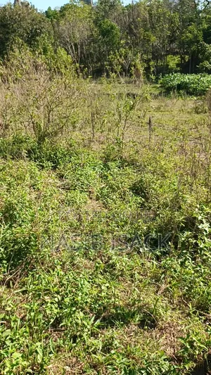 Plot for Sale 116,9 Squsre Meter Bwiru