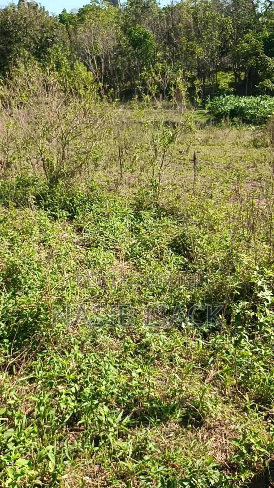 Plot for Sale 116,9 Squsre Meter Bwiru