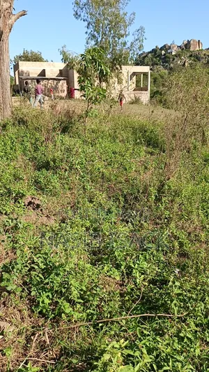 Plot for Sale 116,9 Squsre Meter Bwiru