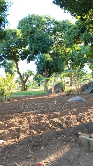 Plot for Sale 116,9 Squsre Meter Bwiru