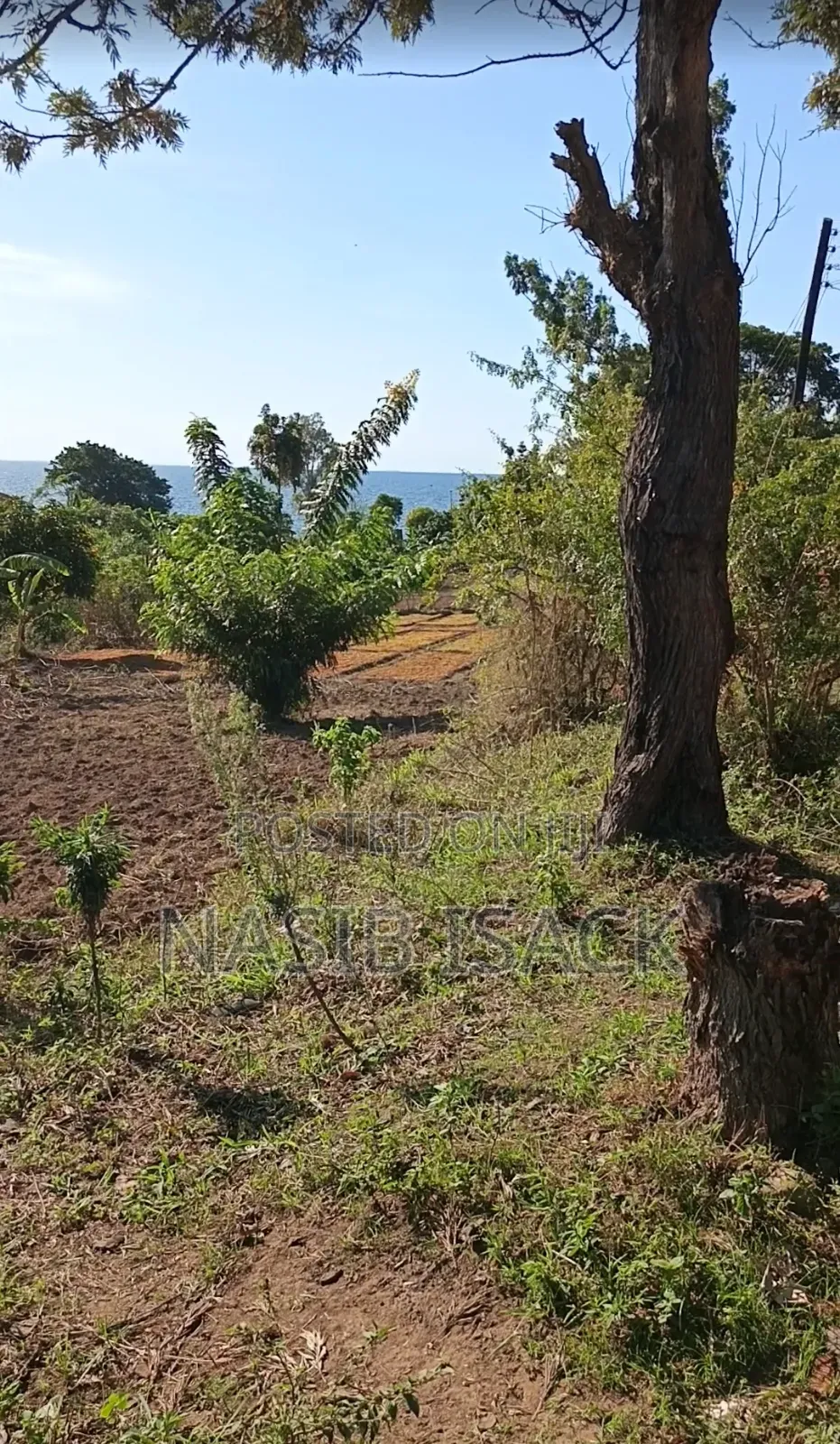 Plot for Sale 116,9 Squsre Meter Bwiru