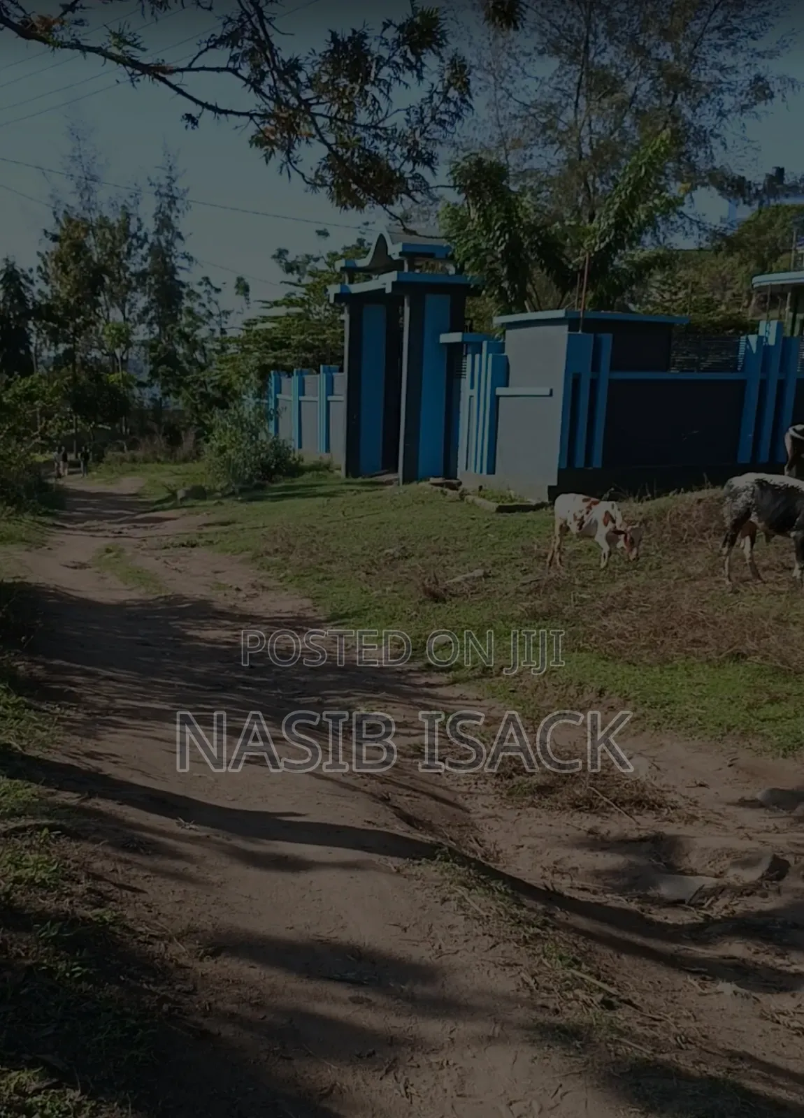 Plot for Sale 116,9 Squsre Meter Bwiru