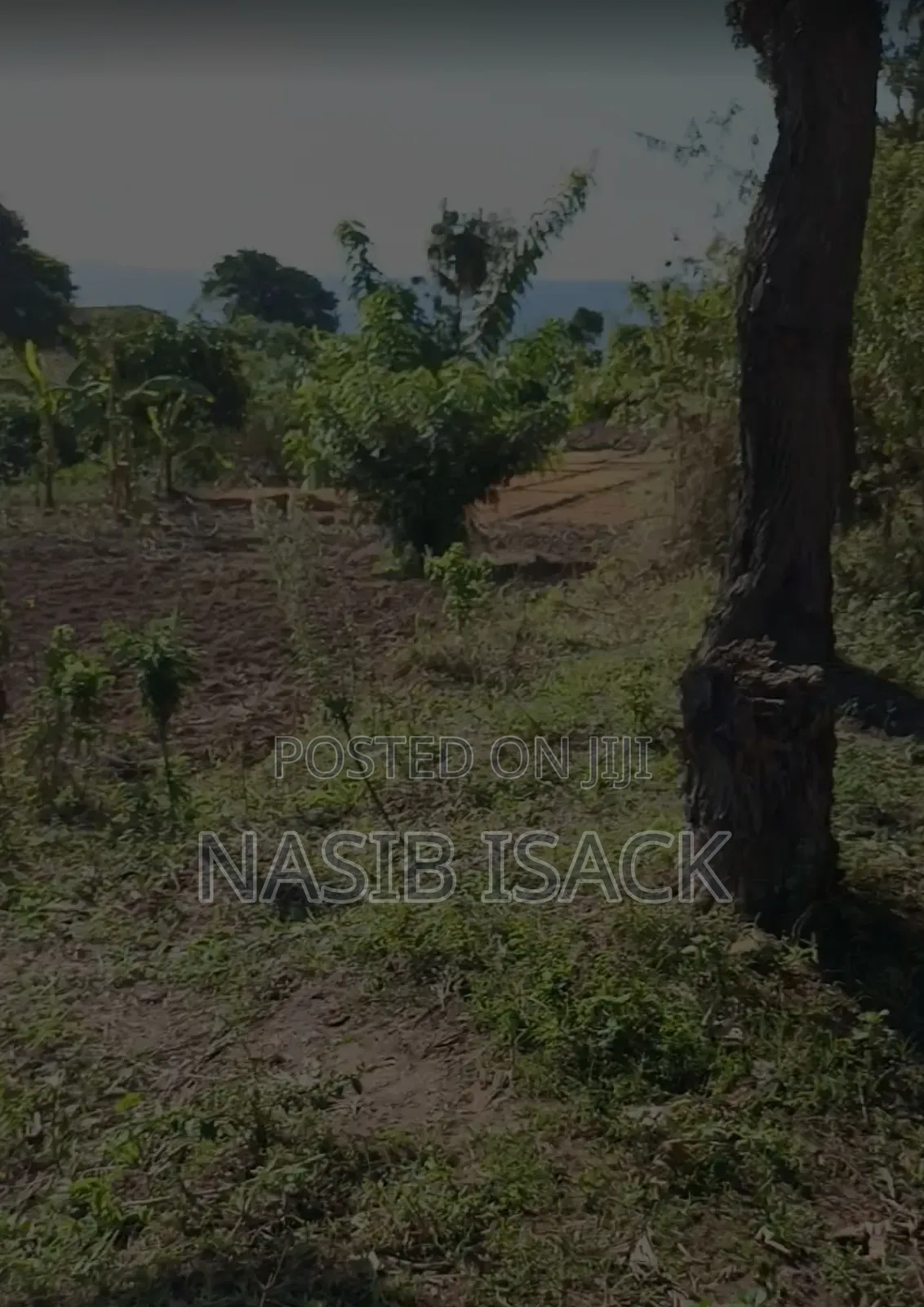 Plot for Sale 116,9 Squsre Meter Bwiru